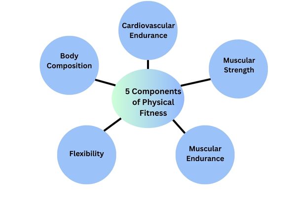 5 components of physical fitness​